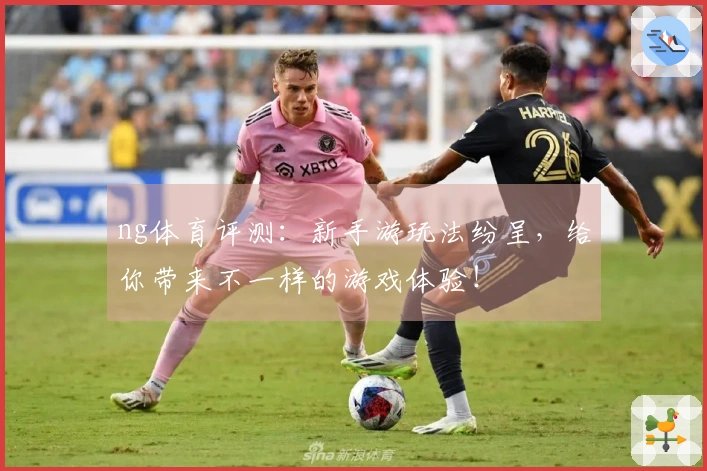 ng体育评测：新手游玩法纷呈，给你带来不一样的游戏体验！