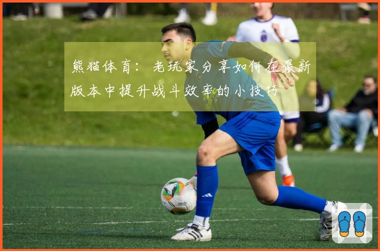 熊猫体育：老玩家分享如何在最新版本中提升战斗效率的小技巧