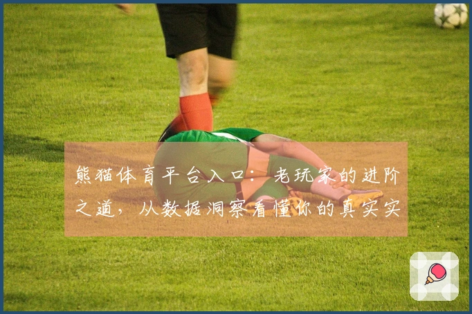 熊猫体育平台入口：老玩家的进阶之道，从数据洞察看懂你的真实实力与潜在收益